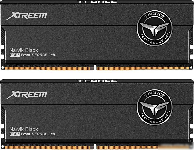 Оперативная память Team T-Force Xtreem 2x16ГБ DDR5 6000 МГц FFXD532G6000HC30DC01