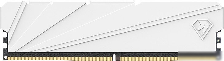 Оперативная память Netac Shadow S 16ГБ DDR4 3200 МГц NTSSD4P32SP-16W