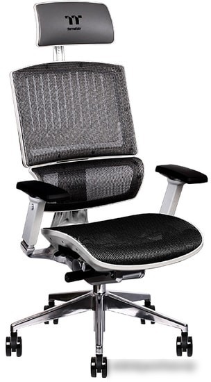 Кресло Thermaltake CyberChair E500 GGC-EG5-BWLFDM-01 (серый)